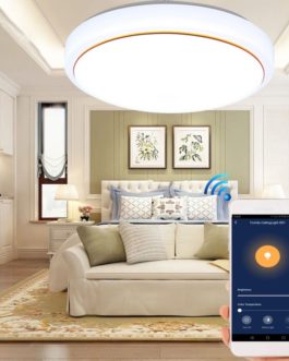 Smart Led Ceiling Light Work With Alexa Echo Google
