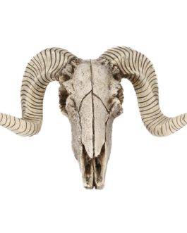 Creative 3D Horns Skull Decor